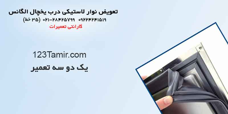 تعویض نوار لاستیک درب یخچال‌ الگانس
